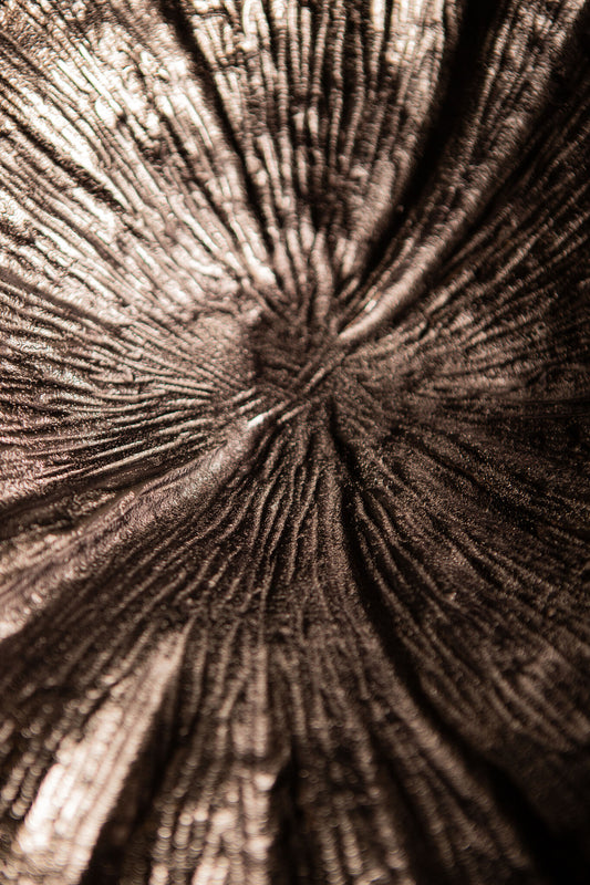 Losh GunMetal Alu Wavy Leaf Bowl Oval