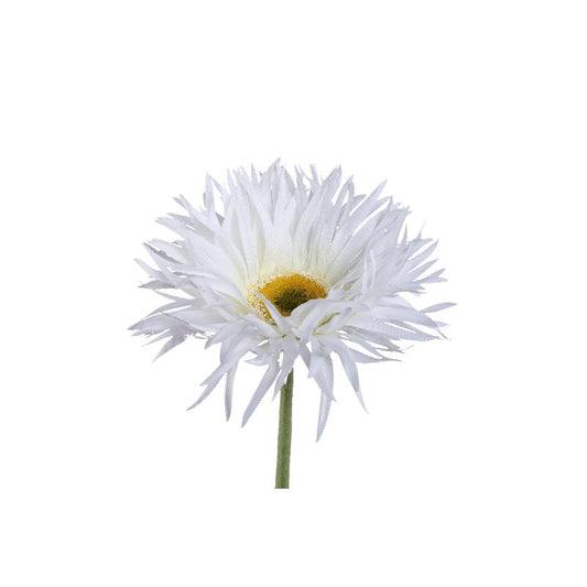 Gerbera Bloem Witte Gerbera - Set van 12 55x12x9 cm