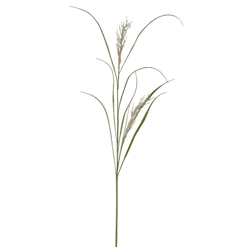 Leaves Plant Groen Beige Phalaris Grass Spray - Set van 12 157x100x24 cm