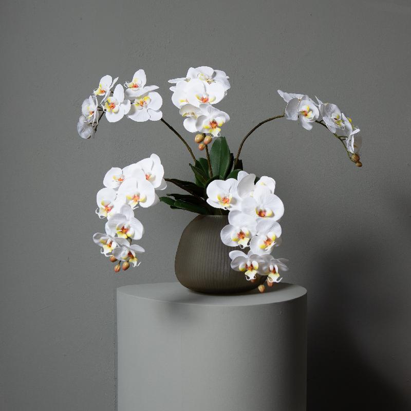 Orchidee Bloem Wit Phalaenopsis Spray Met Bladeren - Set van 12 78x28x17 cm