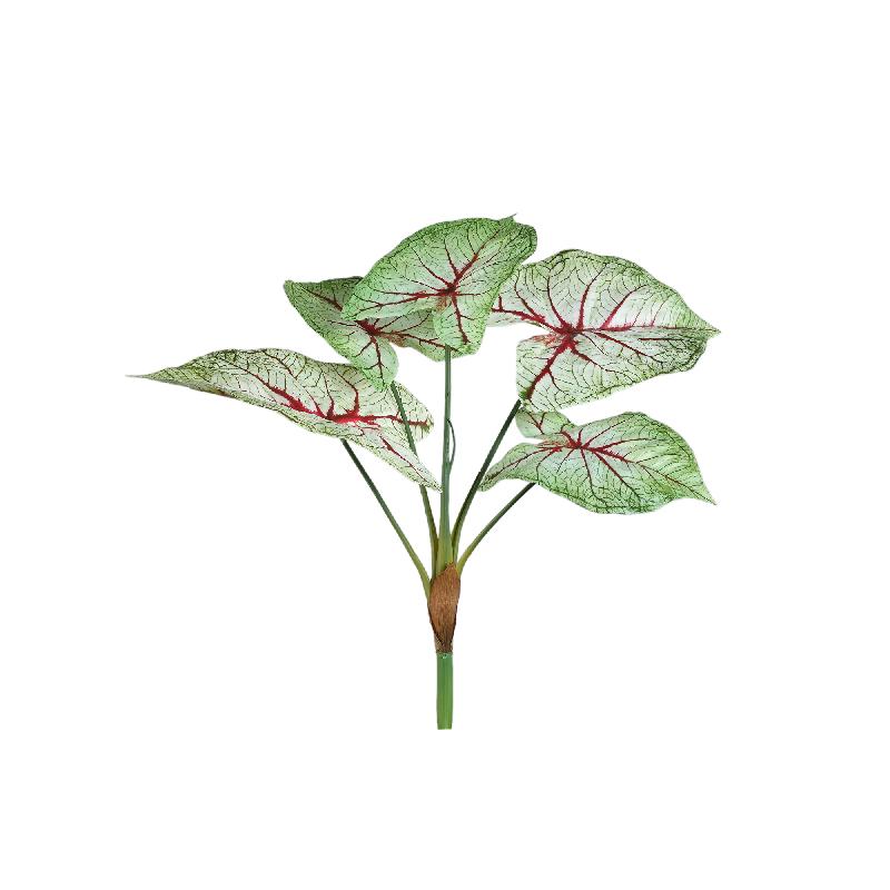 Leaves Plant Lichtgroen Caladium Bladbos - Set van 12 53x45x35 cm