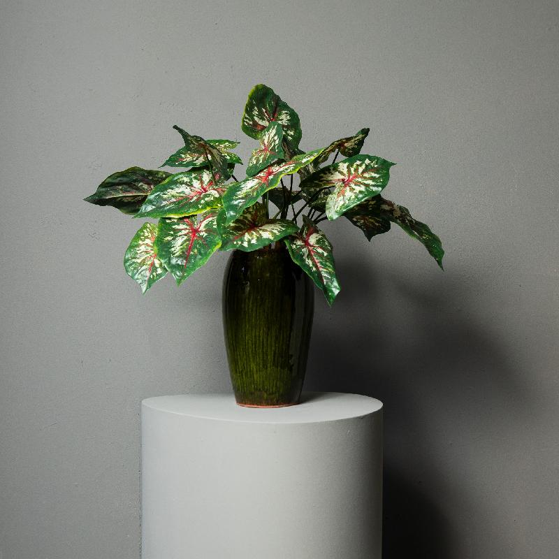 Leaves Plant Donkergroen Caladium Bladtak Set van 12 Stuks 53x45x35 cm