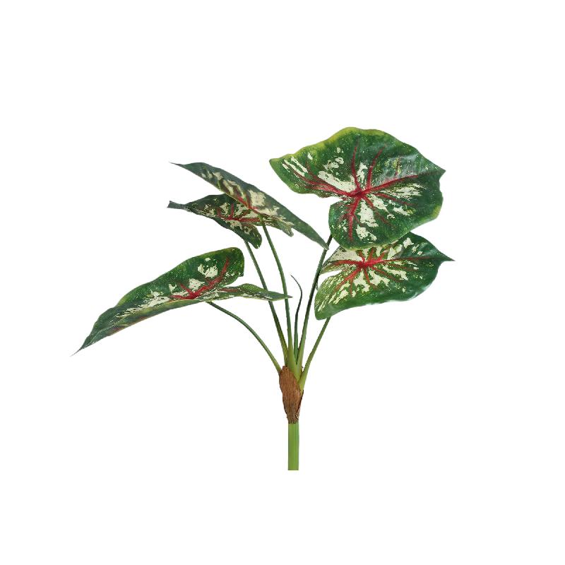Leaves Plant Donkergroen Caladium Bladtak Set van 12 Stuks 53x45x35 cm