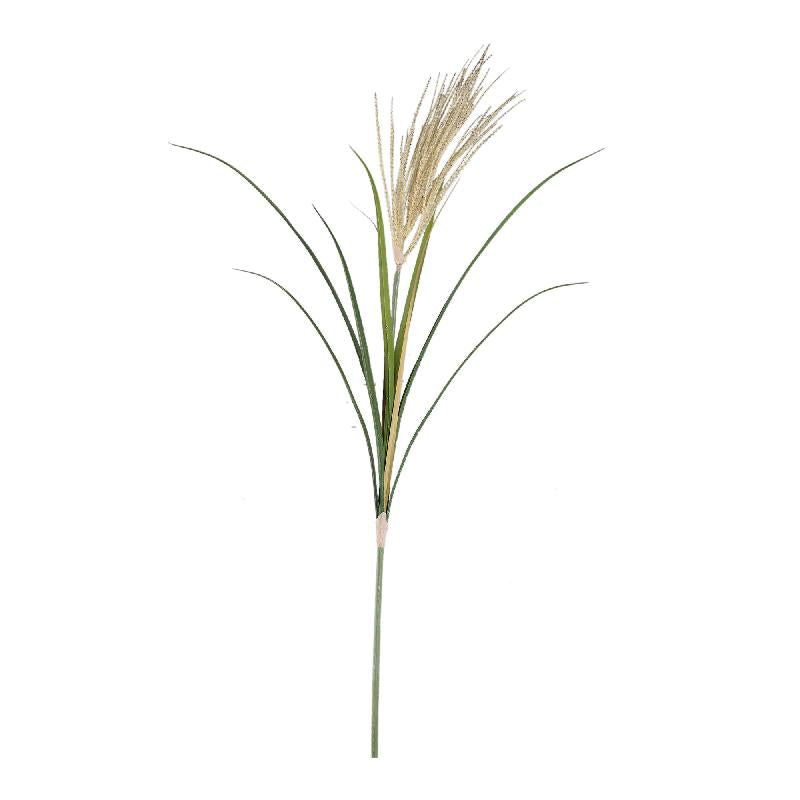 Grass Plant Natuurlijk Hangende Pampas Spray S - Set van 12 Stuks 99x62x43 cm