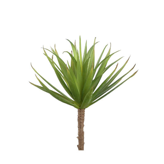 Succulent Plant Groene Yucca Pick - Set van 12 Stuks 20x11x14 cm
