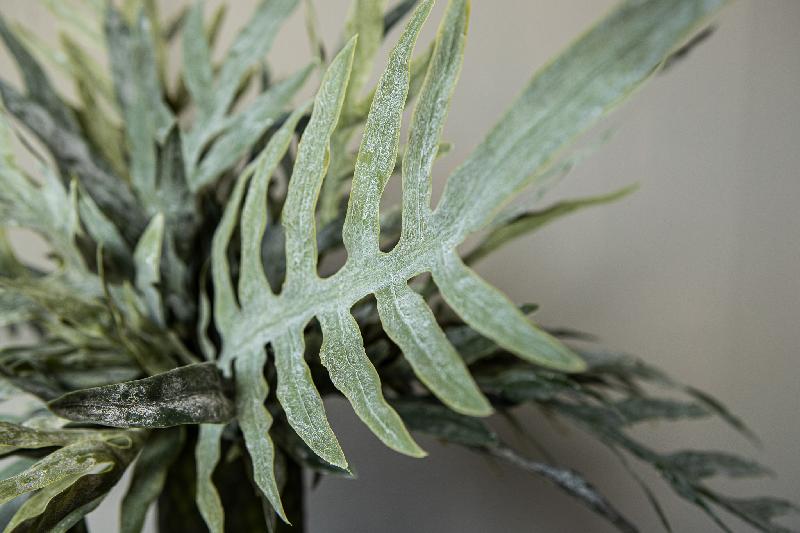 Fern Plant Groene Java Varen Struik S - Set van 12 62x51x44 cm