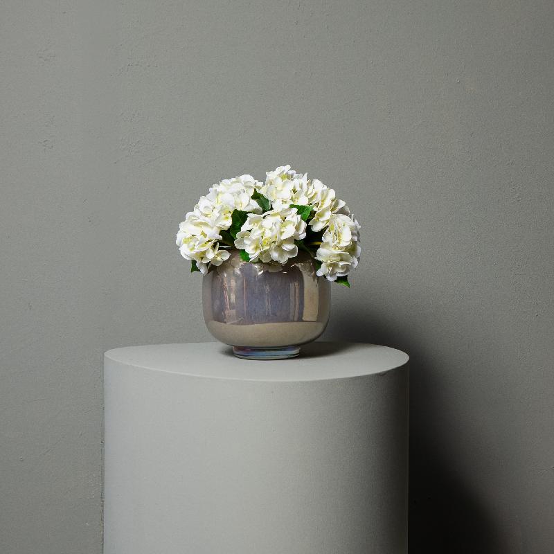 Hydrangea Bloem Crème Hydrangea Tak - Set van 12 33x16x21 cm