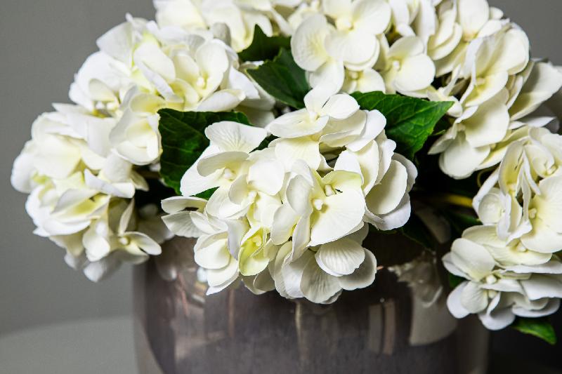 Hydrangea Bloem Crème Hydrangea Tak - Set van 12 33x16x21 cm