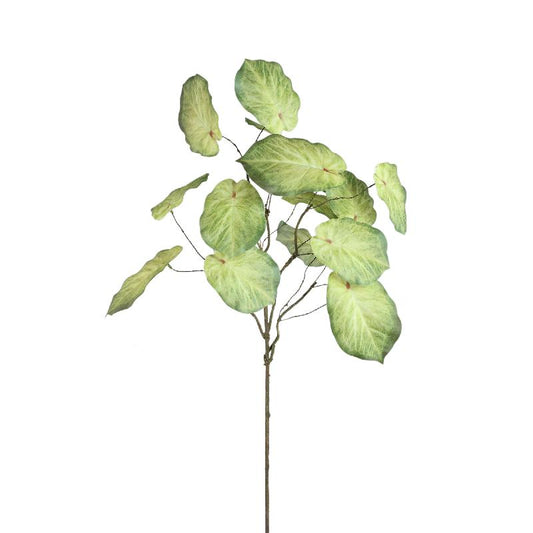 Leaves Plant Groen Caladium Spray - Set van 12 84x48x37 cm