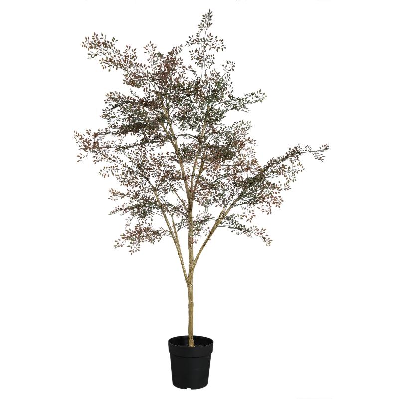 Tree Green Small Leaves Tree In Pot 200x100x70 cm