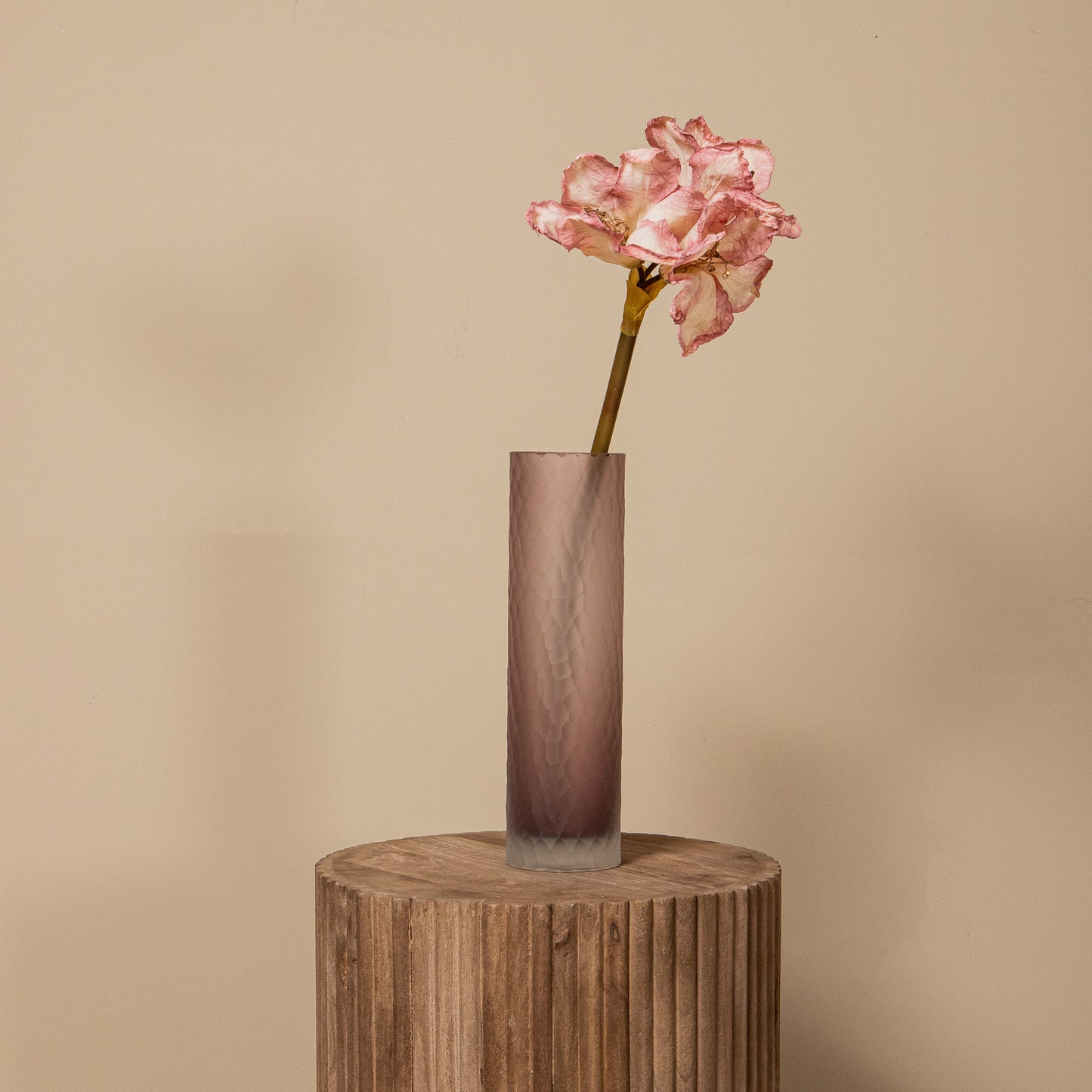 Amaryllis Flower Lichtroze Amaryllis Tak - Set van 12 65x18x19 cm