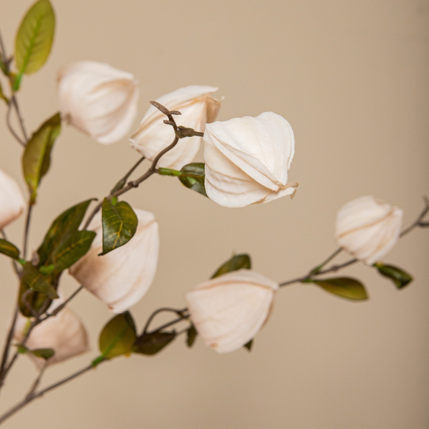 Garden Flower Crème Chinese Lantern Spray - Set van 12 94x54x14 cm