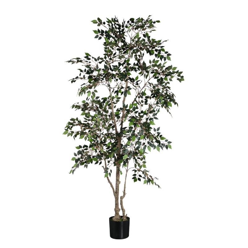 Tree Green Ficus Benjamina Plant 185x90x90 cm