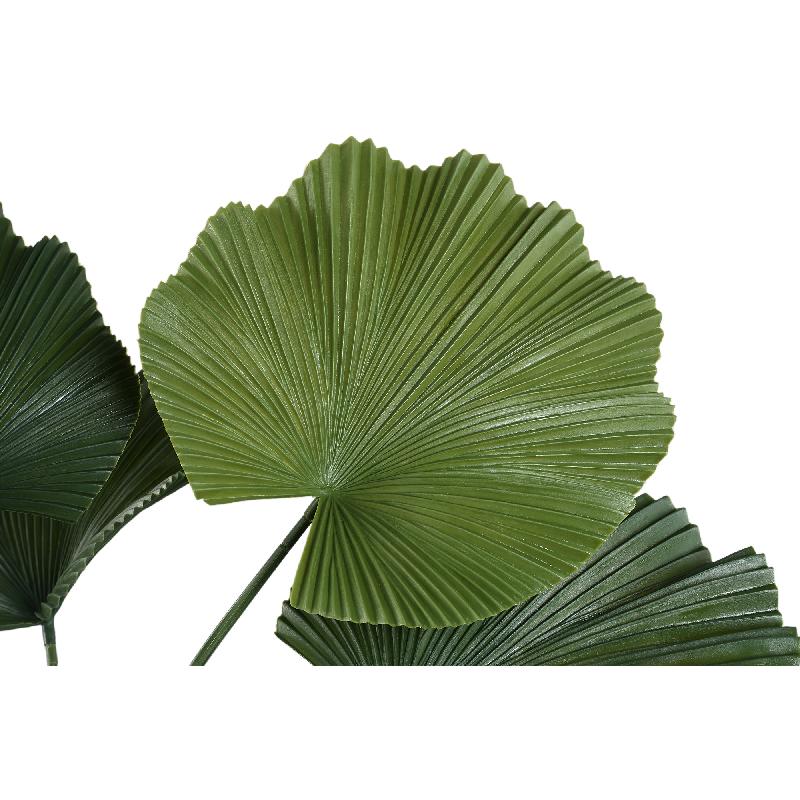 Leaves Plant Donkergroene Licuala Plant In Pot 90x77x77 cm