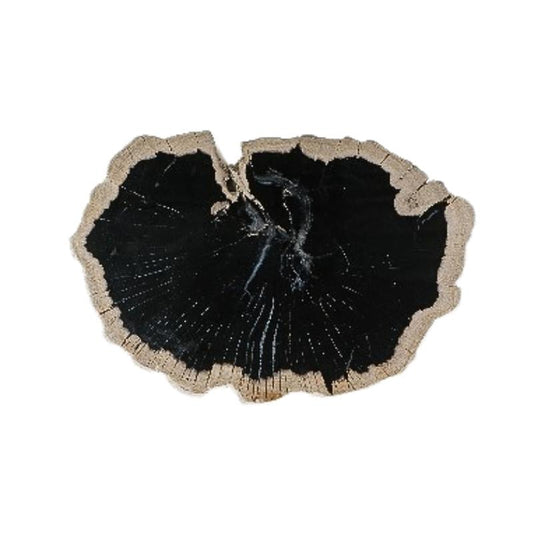 Dalva Zwart Versteend Hout Deco Schijf Bord Rond 2x30x35 cm
