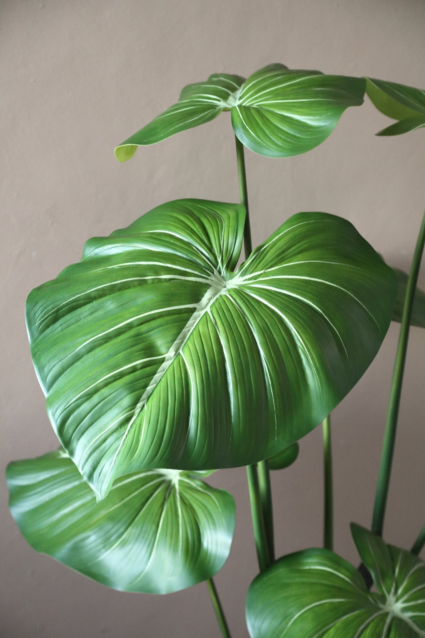 Leaves Plant Groene Philodendron In Zwarte Pot 178x90x90 cm