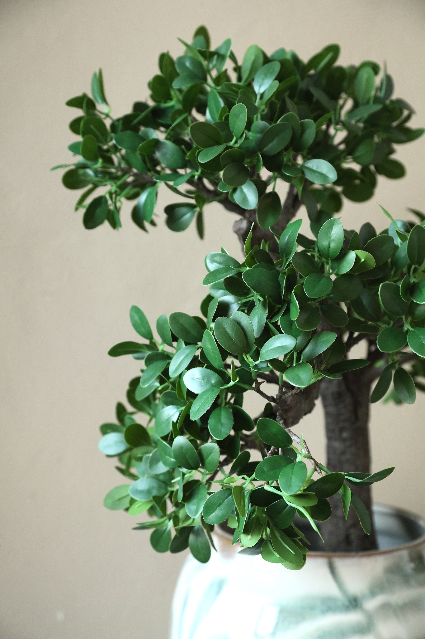 Tree Groene Banyan Tree In Zwarte Pot 80x50x35 cm