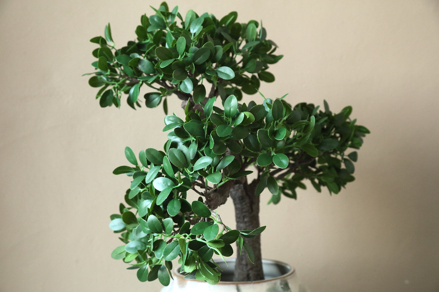 Tree Groene Banyan Tree In Zwarte Pot 80x50x35 cm