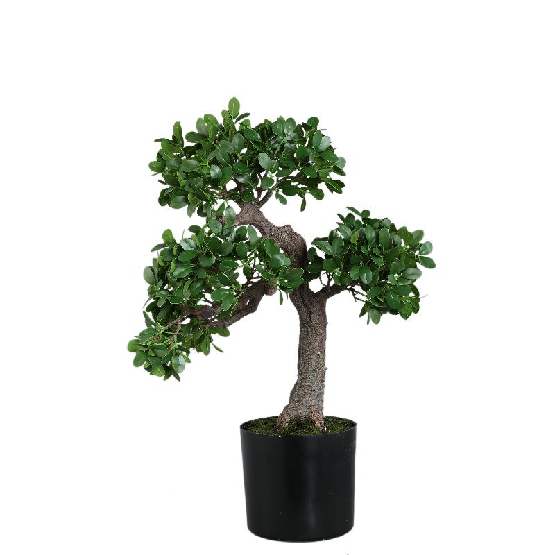 Tree Groene Banyan Tree In Zwarte Pot 80x50x35 cm