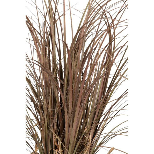 Leaves Plant Beige Paardenstaartpalm in Glazen Vaas - Set van 2 56x30x30 cm