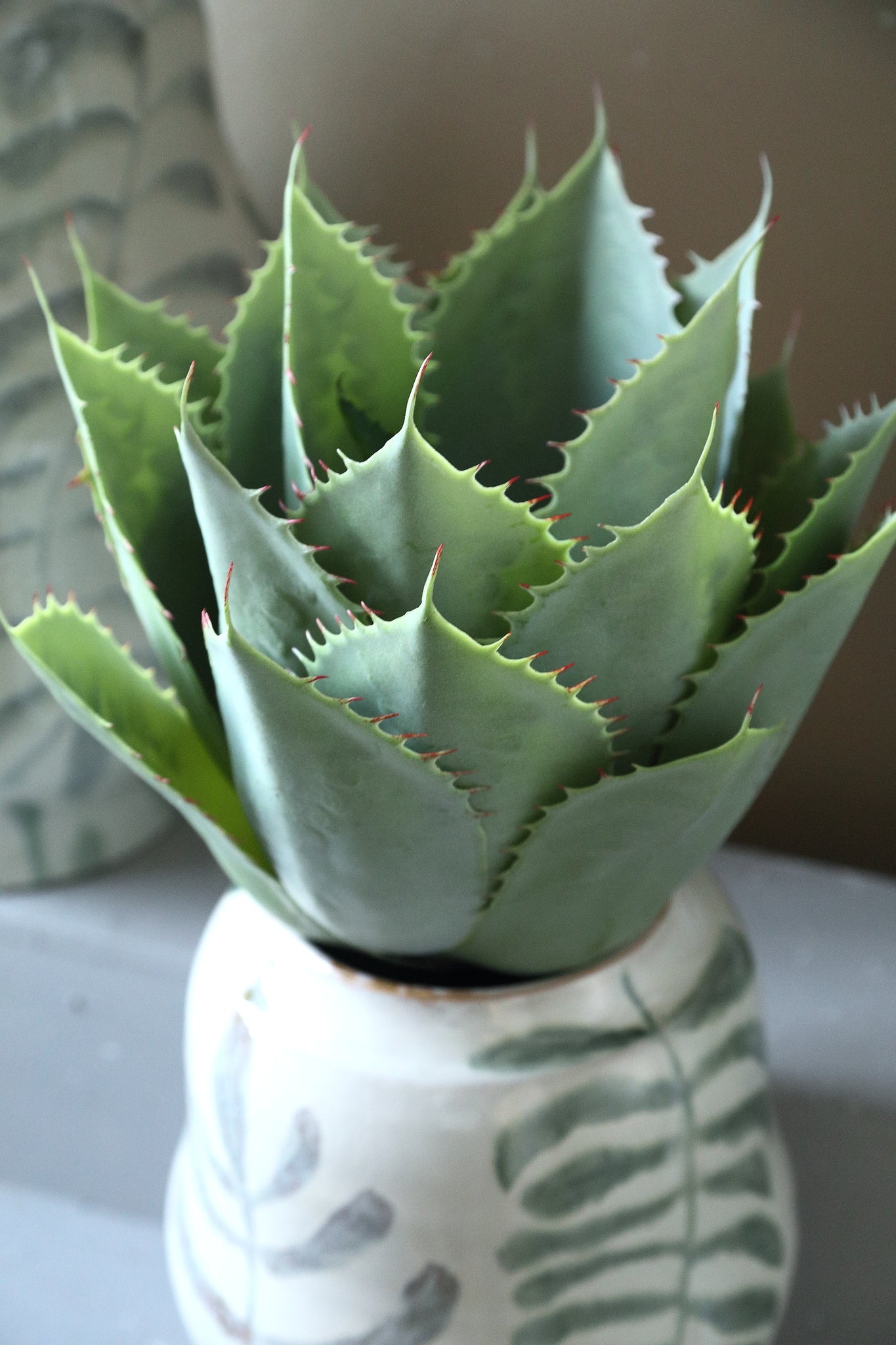 Succulent Plant Groene Grote Agave In Pot - Set van 2 Stuks 45x35x35 cm