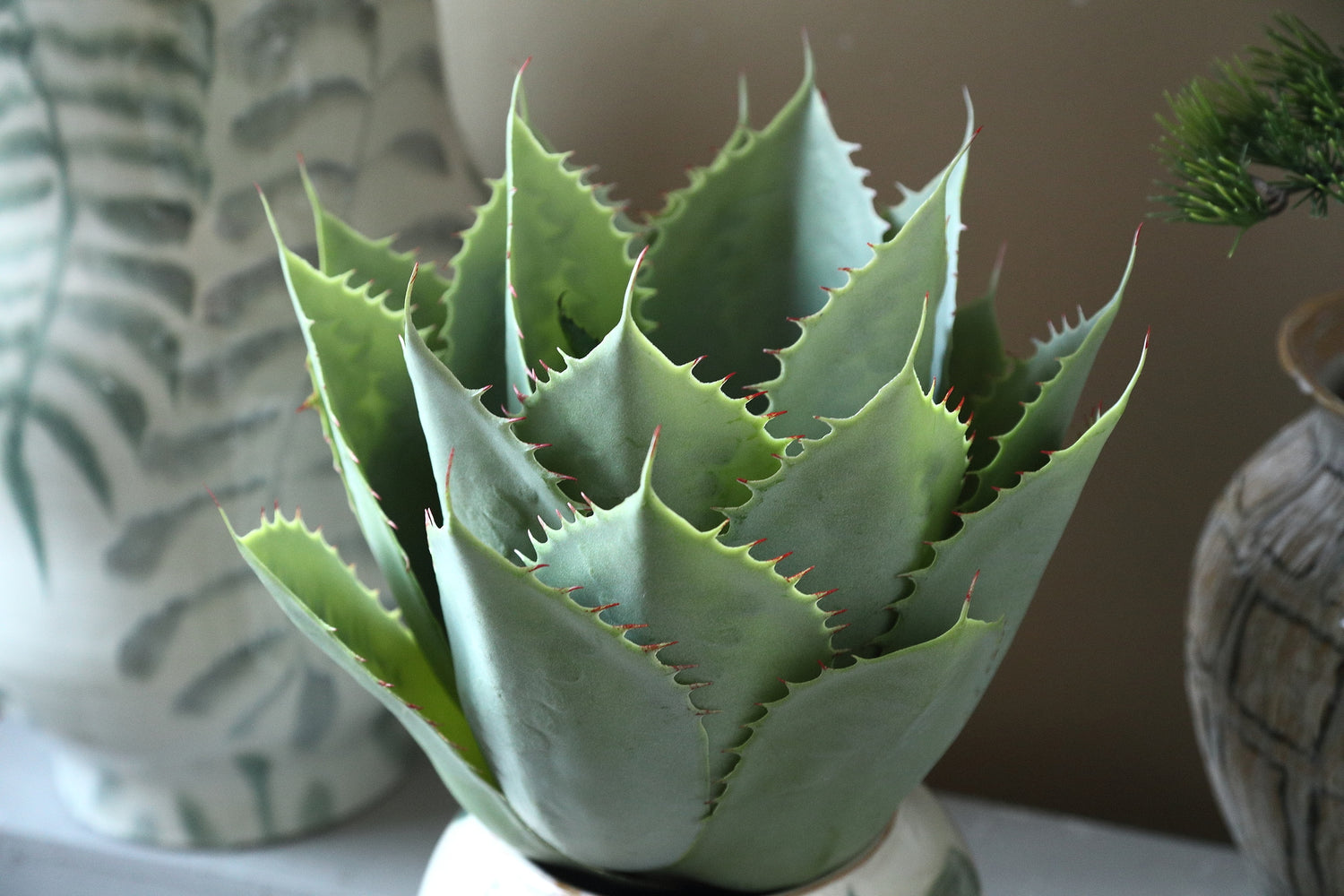 Succulent Plant Groene Grote Agave In Pot - Set van 2 Stuks 45x35x35 cm