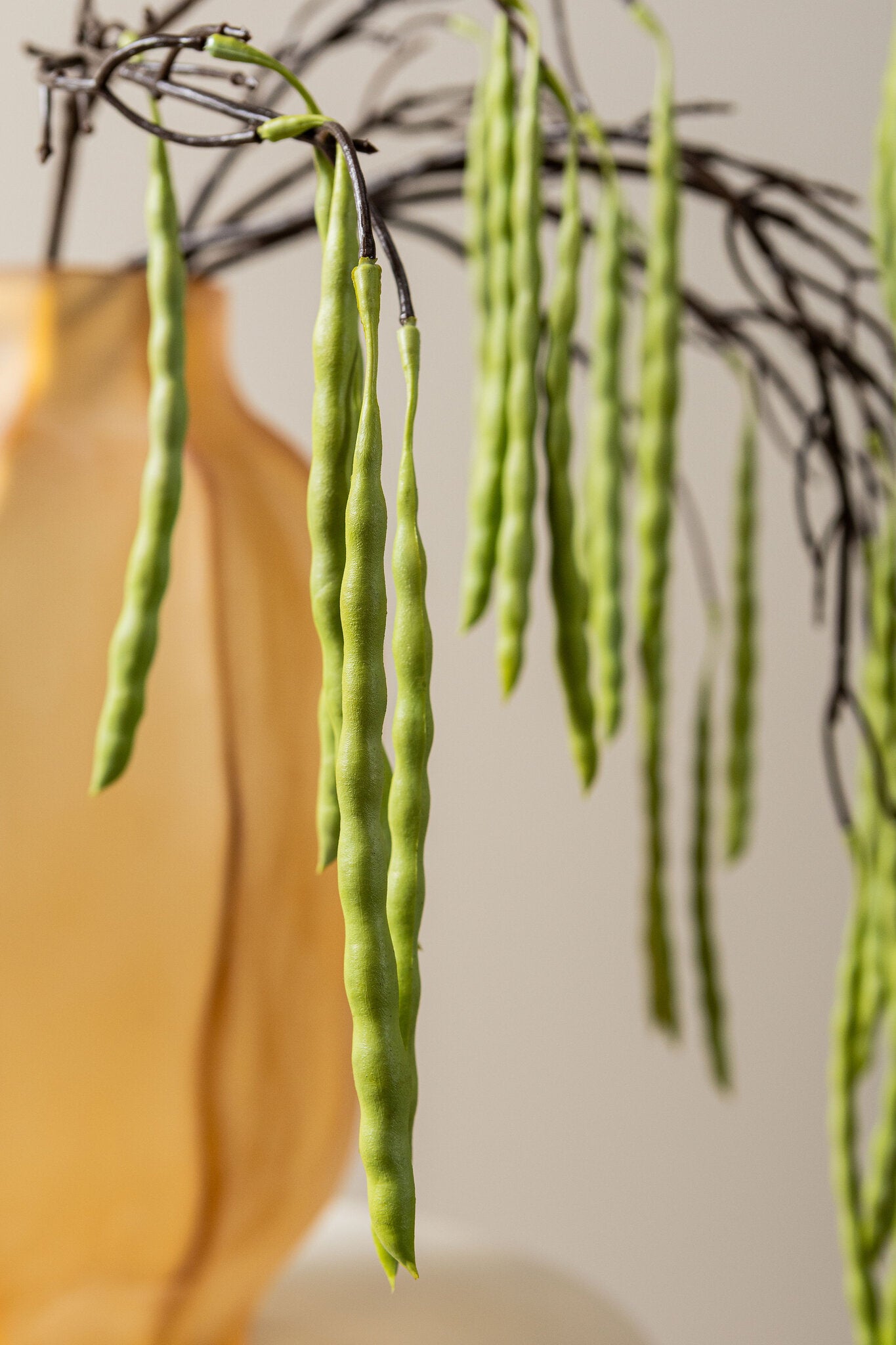 Twig Plant Groen Hangende Acacia Boon Spray - Set van 12 17x60x17 cm