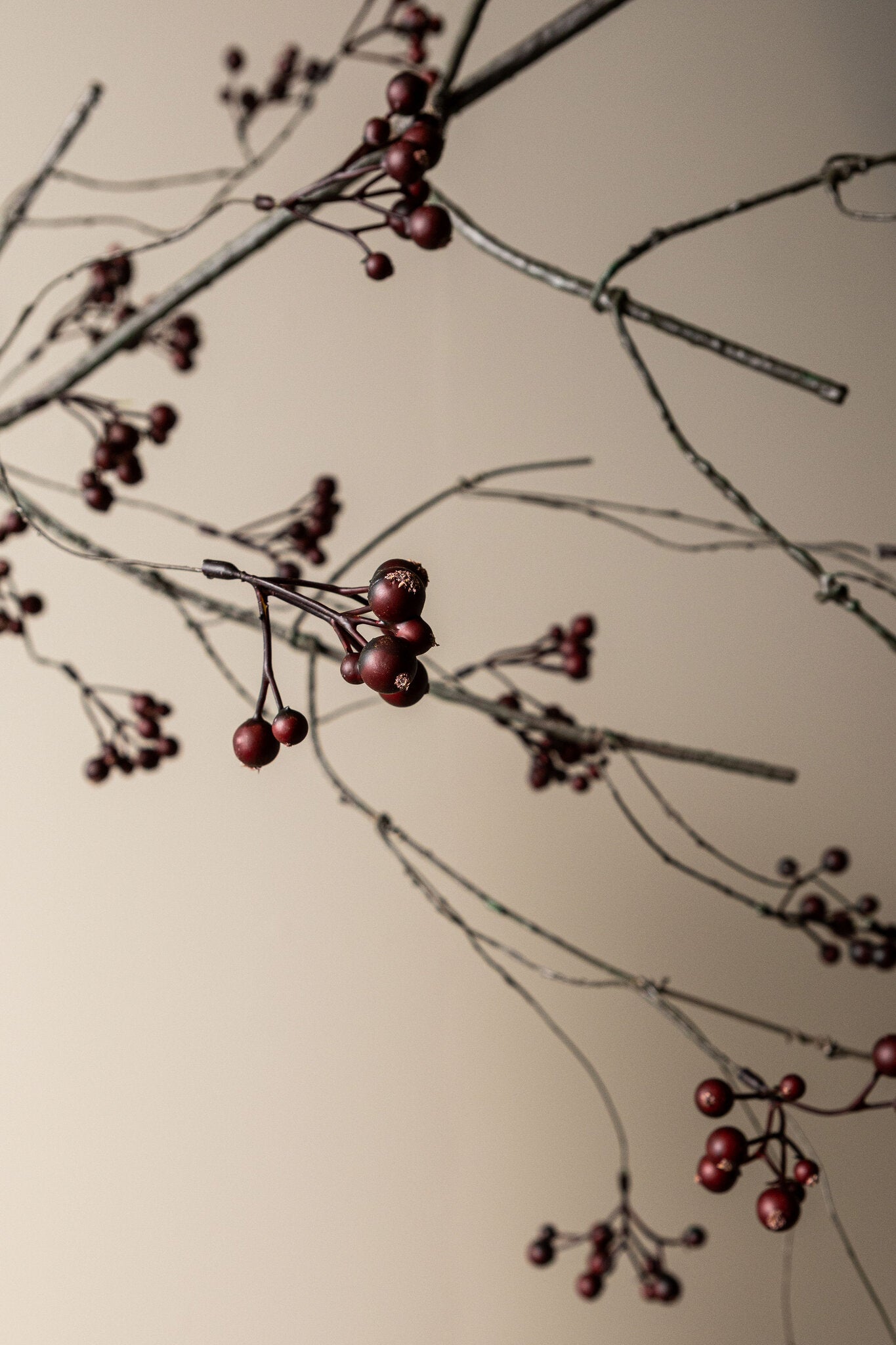 Berry Plant Donkerbruin Smilax China Spray - Set van 6 110x55x15 cm