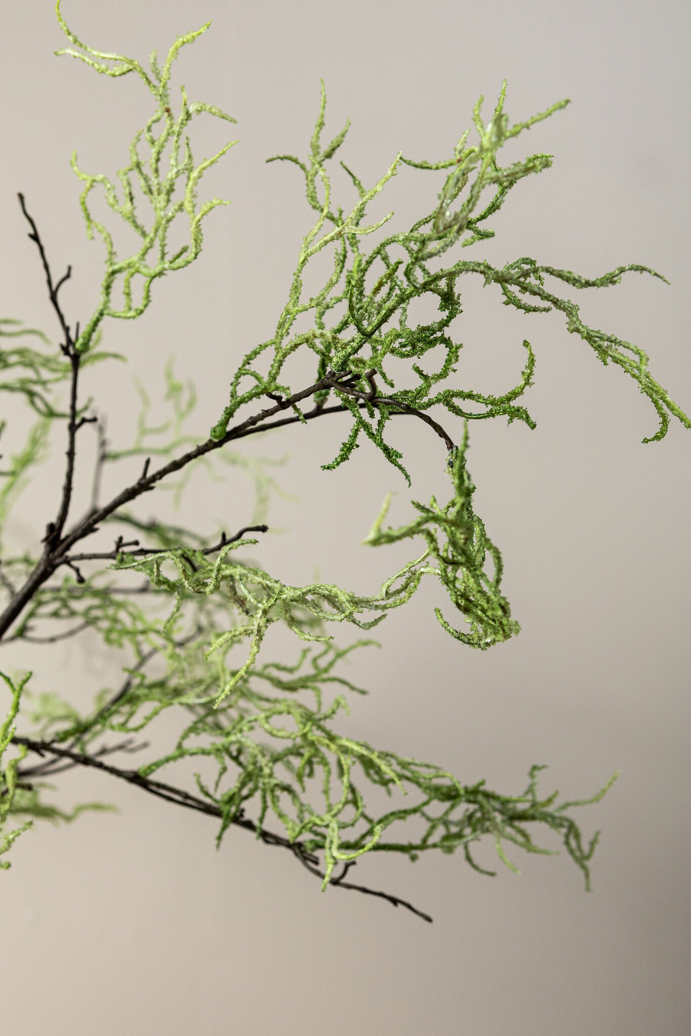 Twig Plant Mos Groen Coral Spray - Set van 12 108x38x8 cm