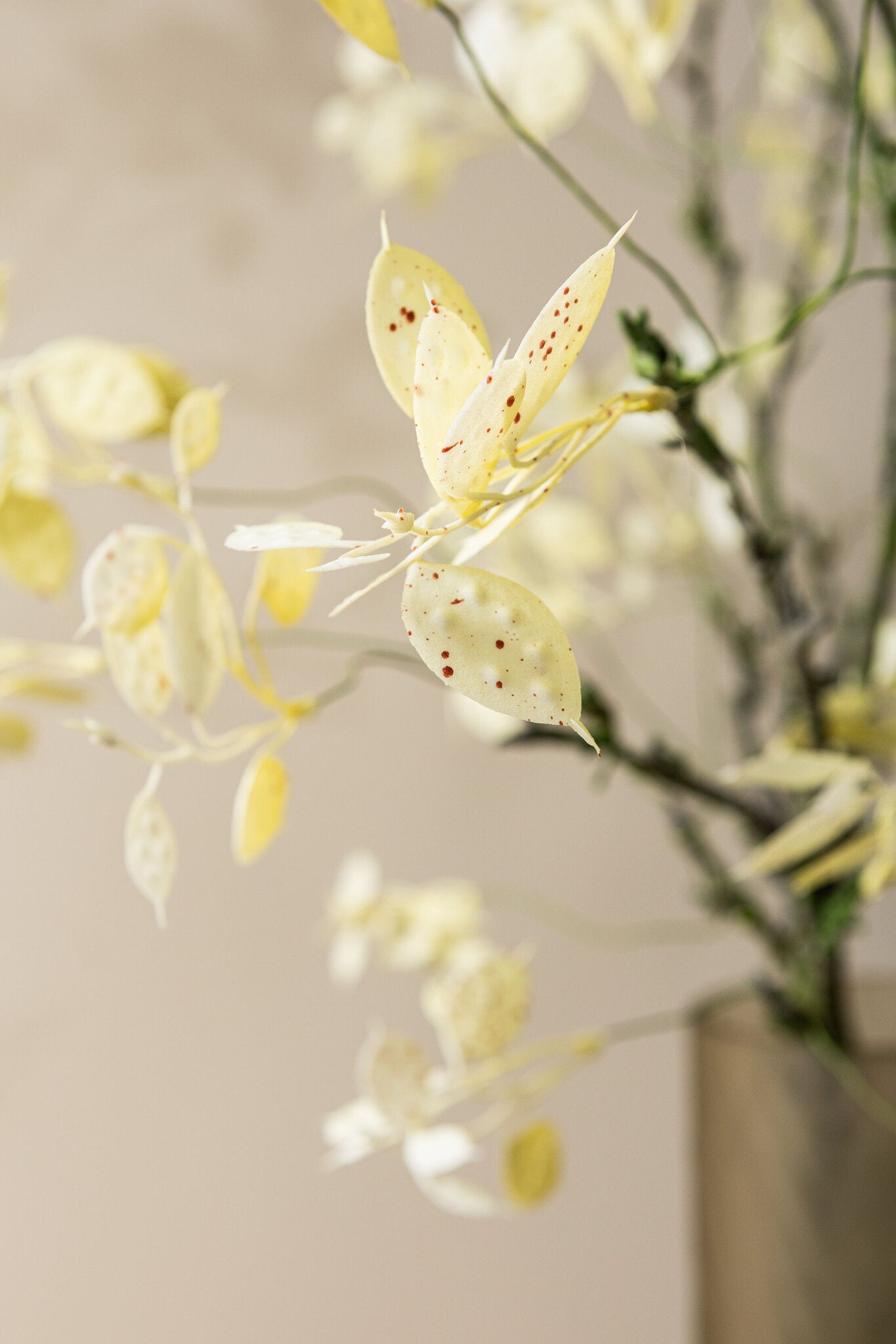 Leaves Plant Witte Kunstbloem Geldboompje Spray Set van 6 Stuks 120x36x8 cm
