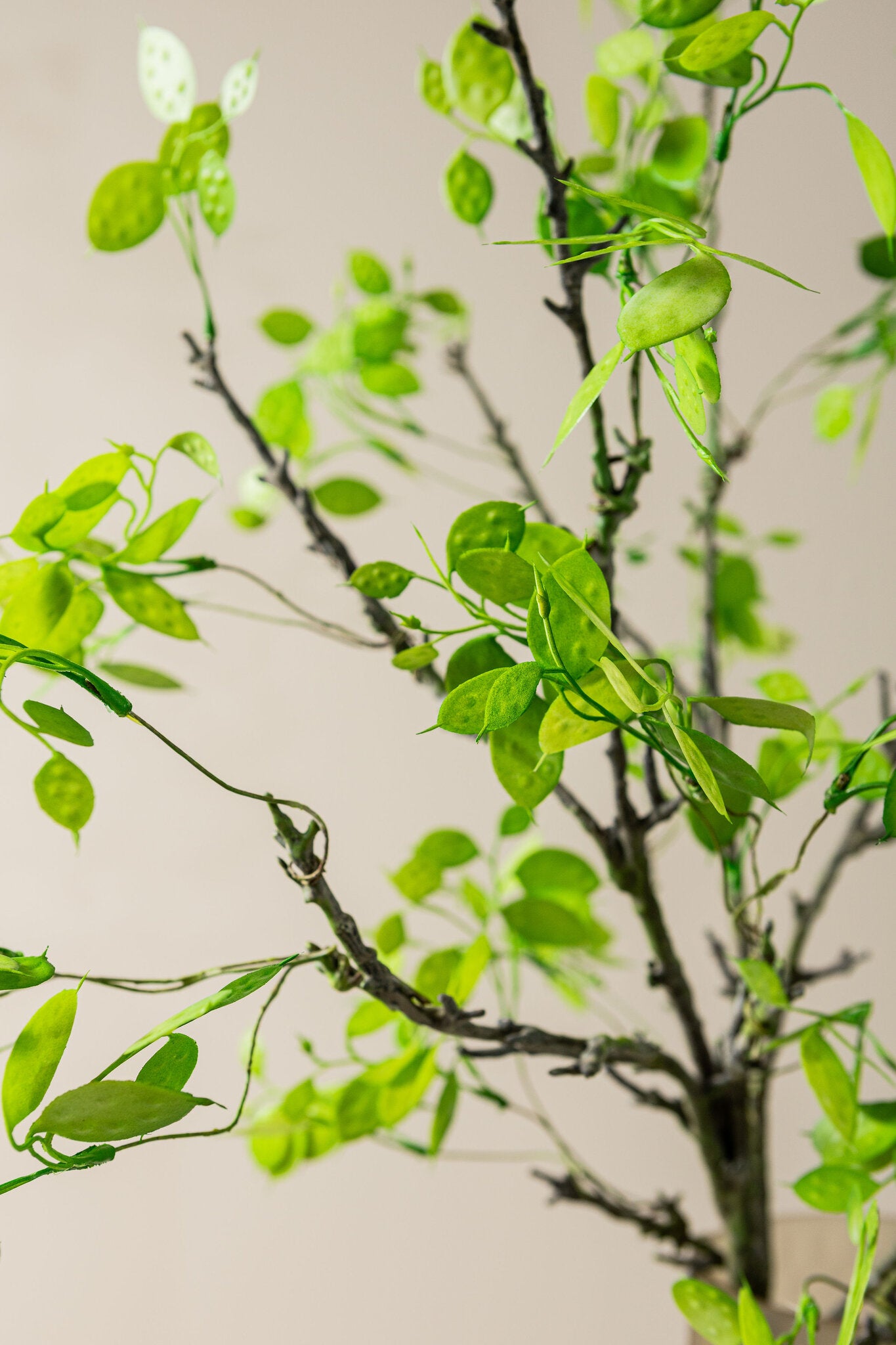 Leaves Plant Groen Kunstplant Spray Set van 6 Stuks 120x36x8 cm