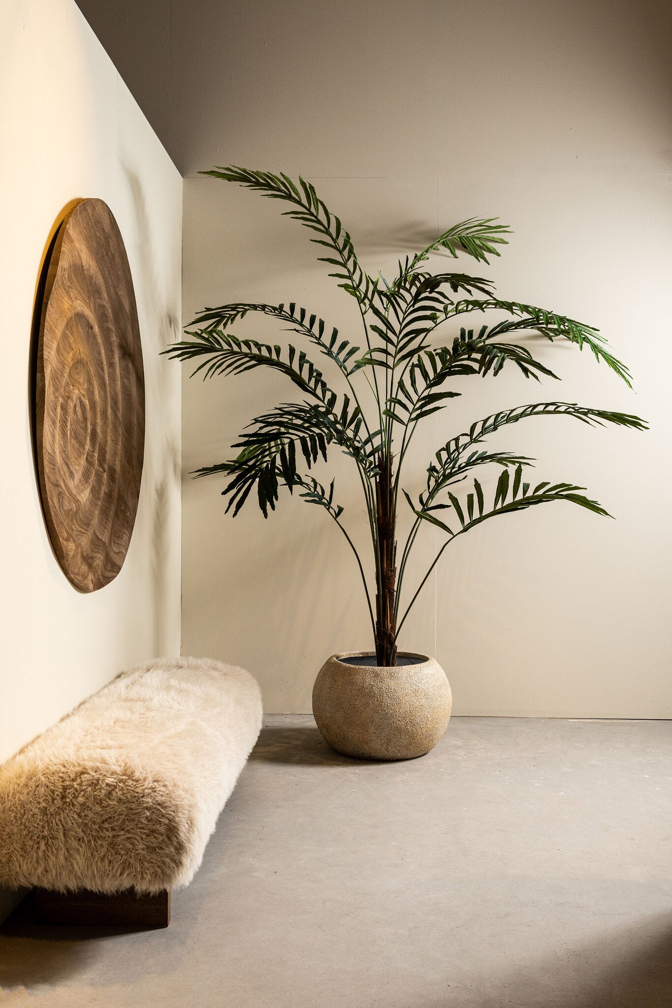 Tree Grote Groene Palmboom In Zwarte Pot 260x160x160 cm