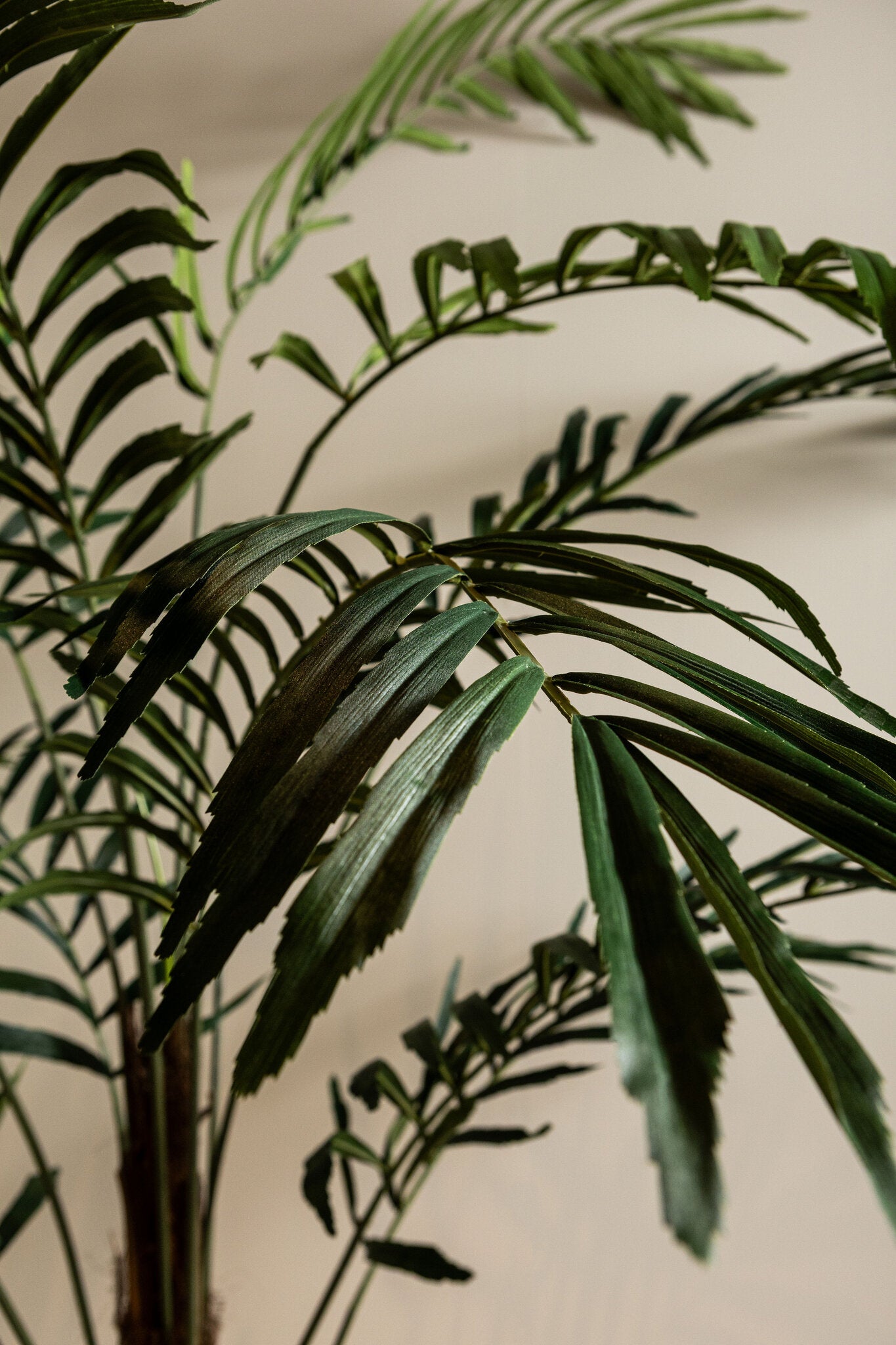 Tree Grote Groene Palmboom In Zwarte Pot 260x160x160 cm