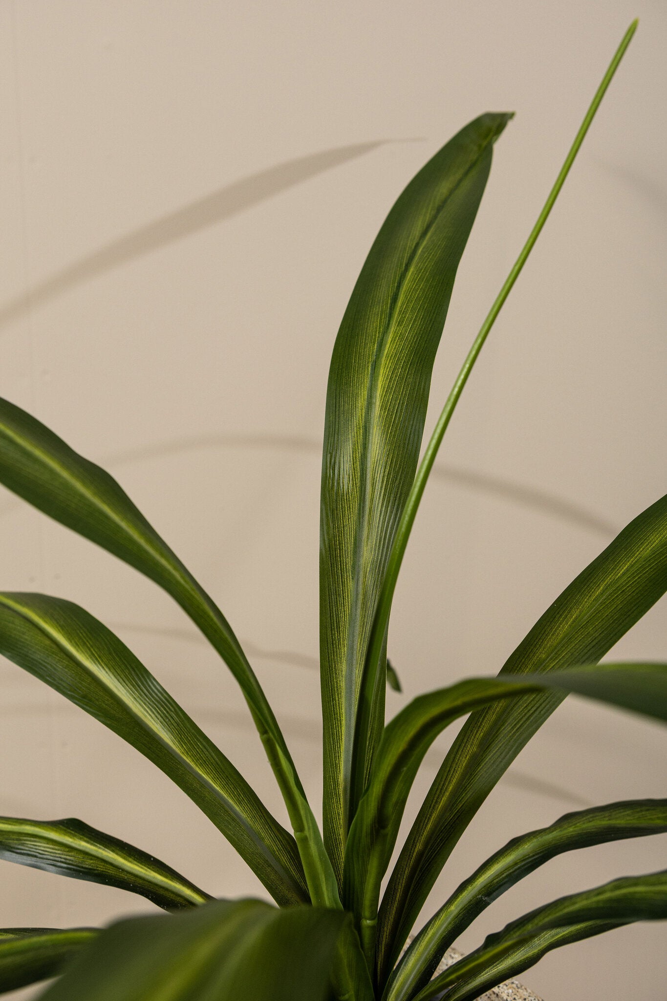 Leaves Plant Donkergroene Yucca Plant - Set van 4 Stuks 88x70x70 cm