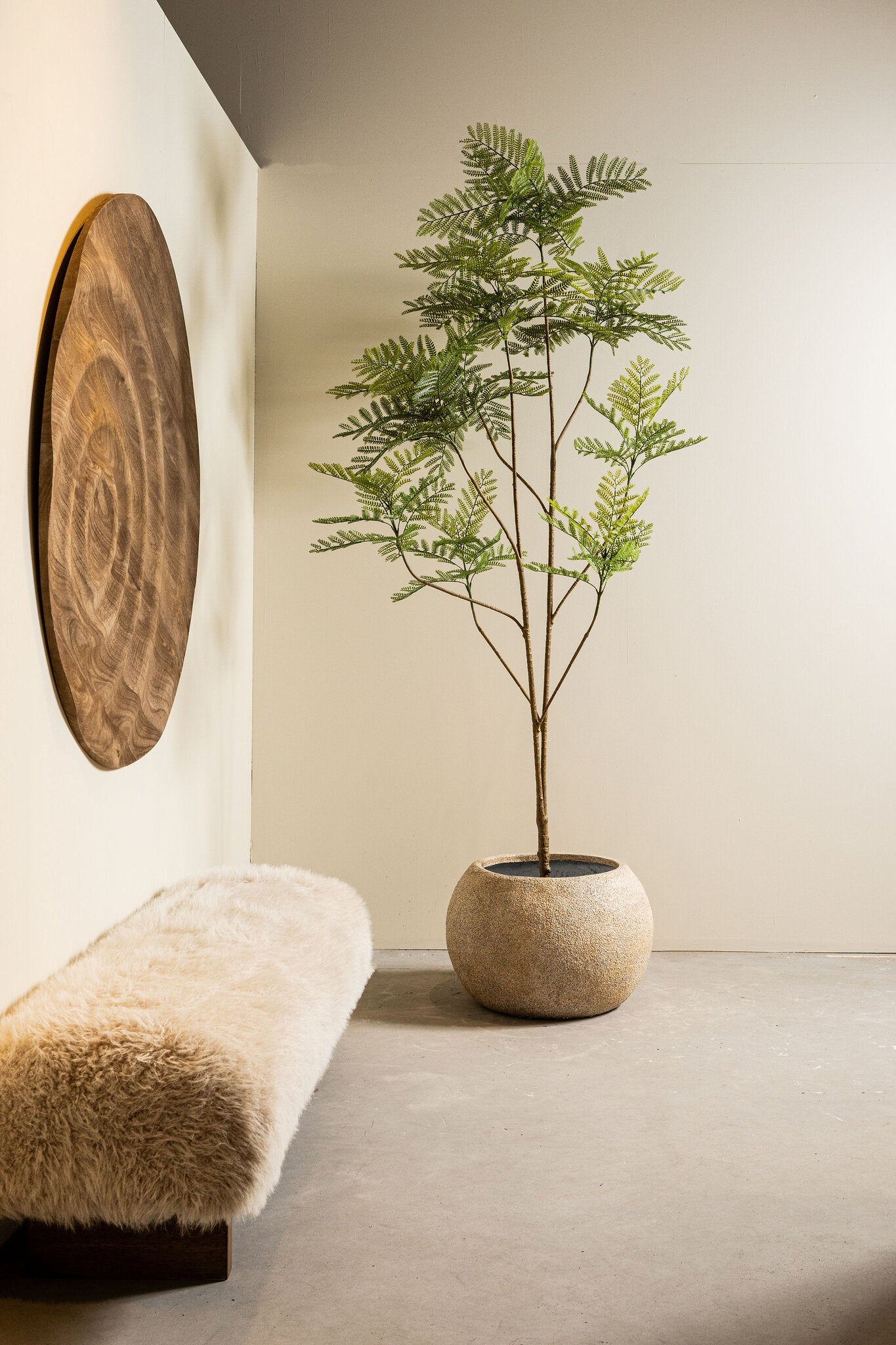Fern Plant Groen Hoge Varen In Pot L 238x125x115 cm