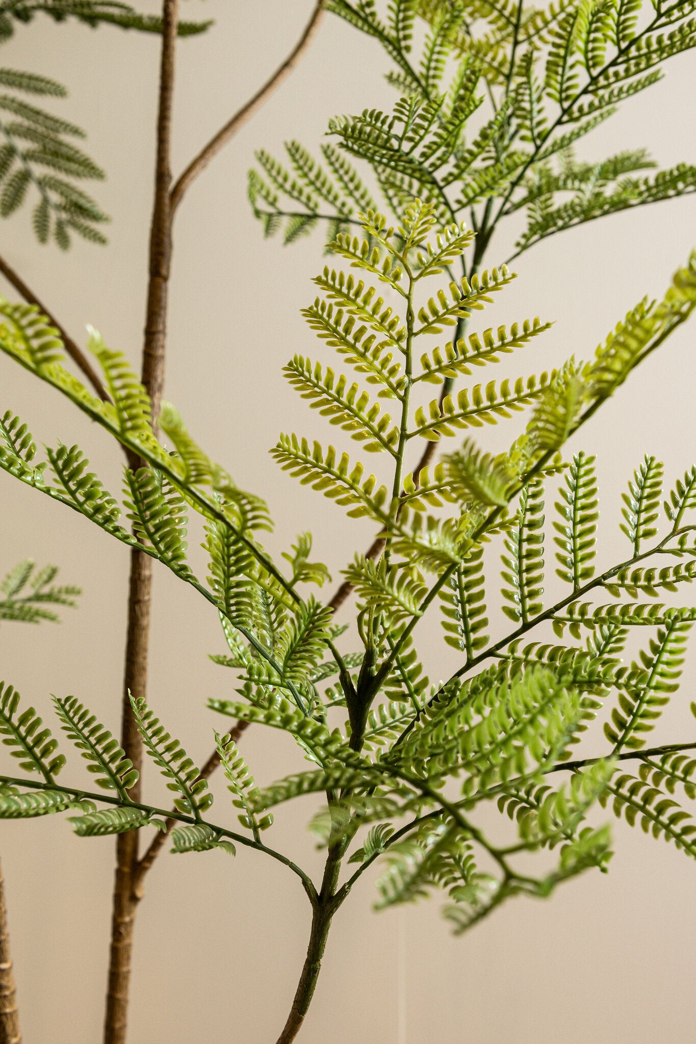 Fern Plant Groen Hoge Varen In Pot L 238x125x115 cm