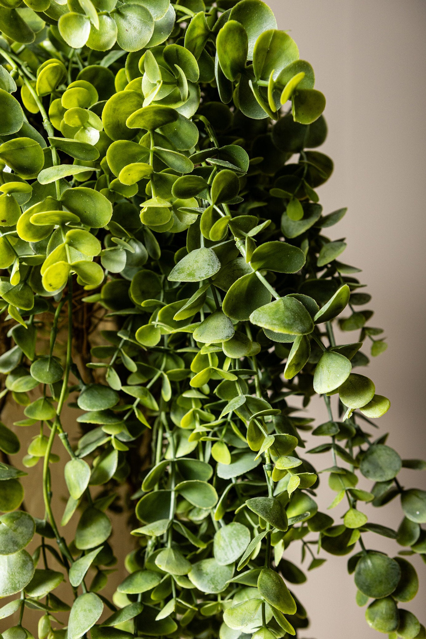 Leaves Plant Groen Eucalyptus Hangende Spray - Set van 12 100x79x35 cm