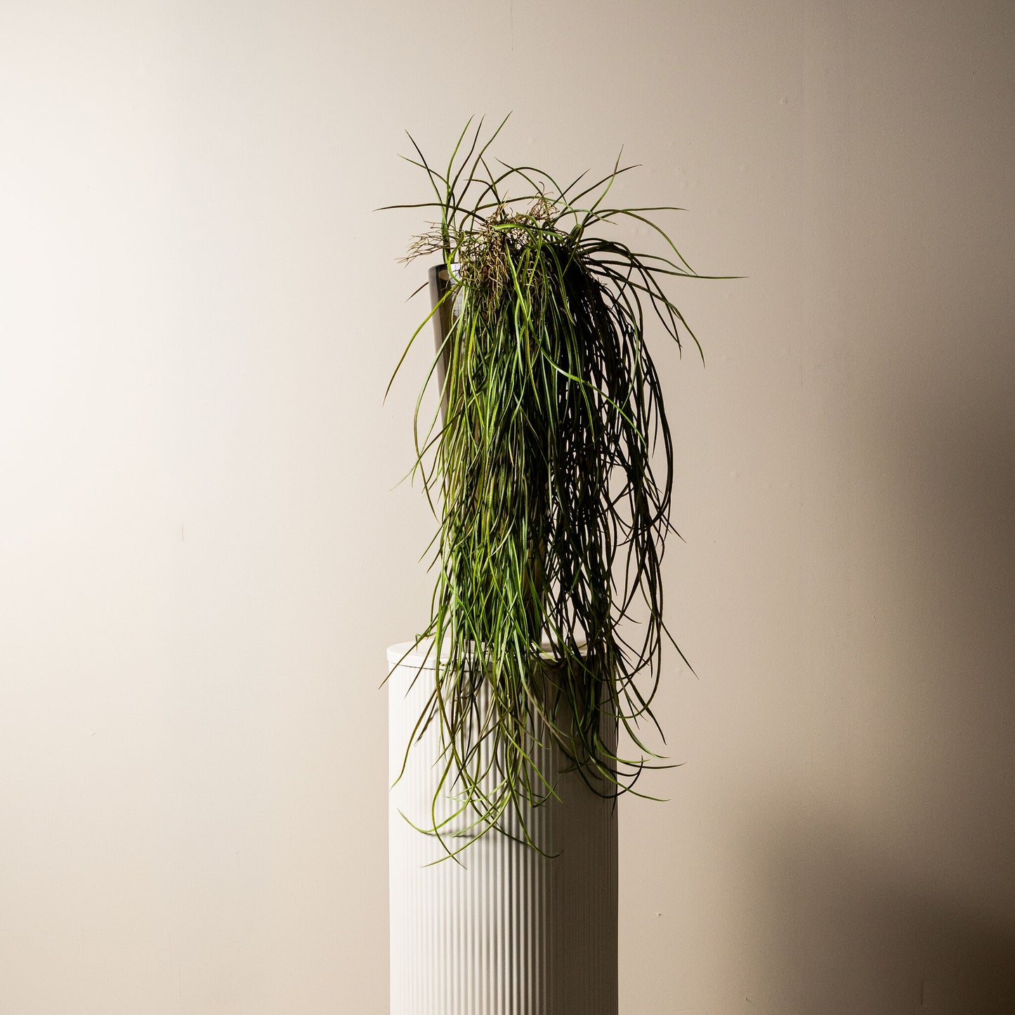 Leaves Plant Groen Gras Hangende Spray - Set van 12 134x115x35 cm