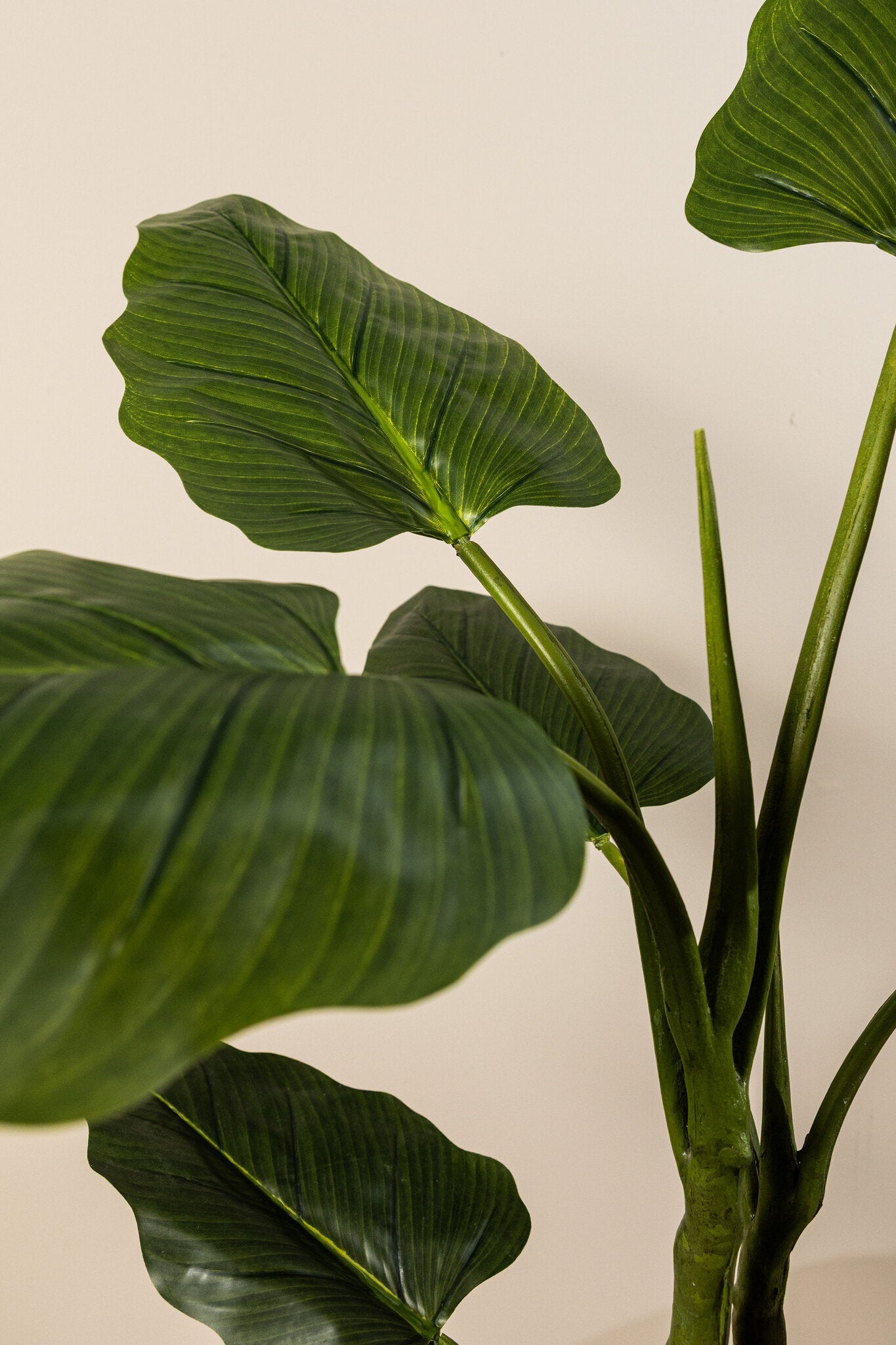 Leaves Plant Groene Philodendron In Zwarte Pot S 130x45x45 cm