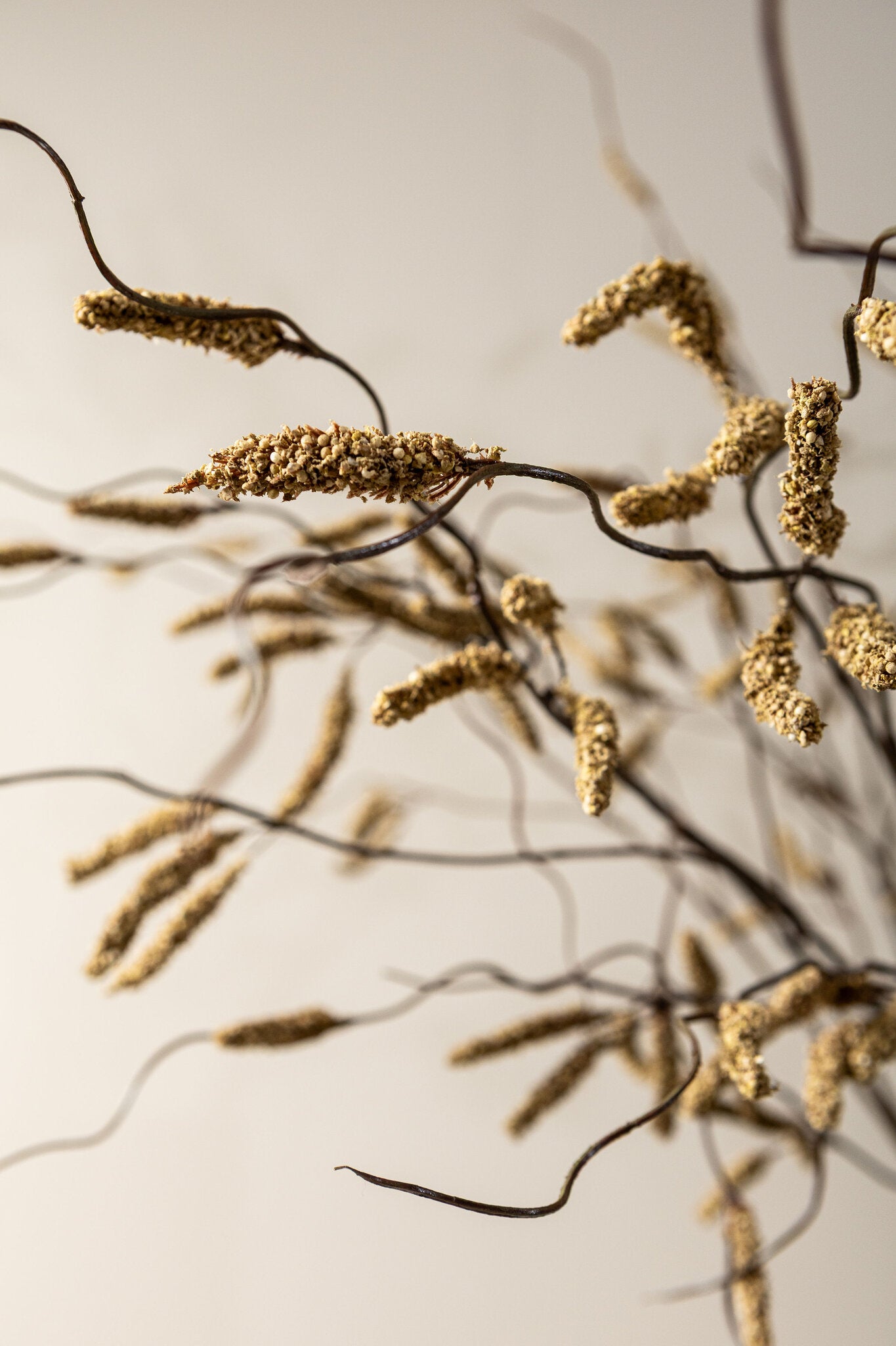 Twig Plant Lichtbruin Amaranthus Spray - Set van 6 121x62x40 cm