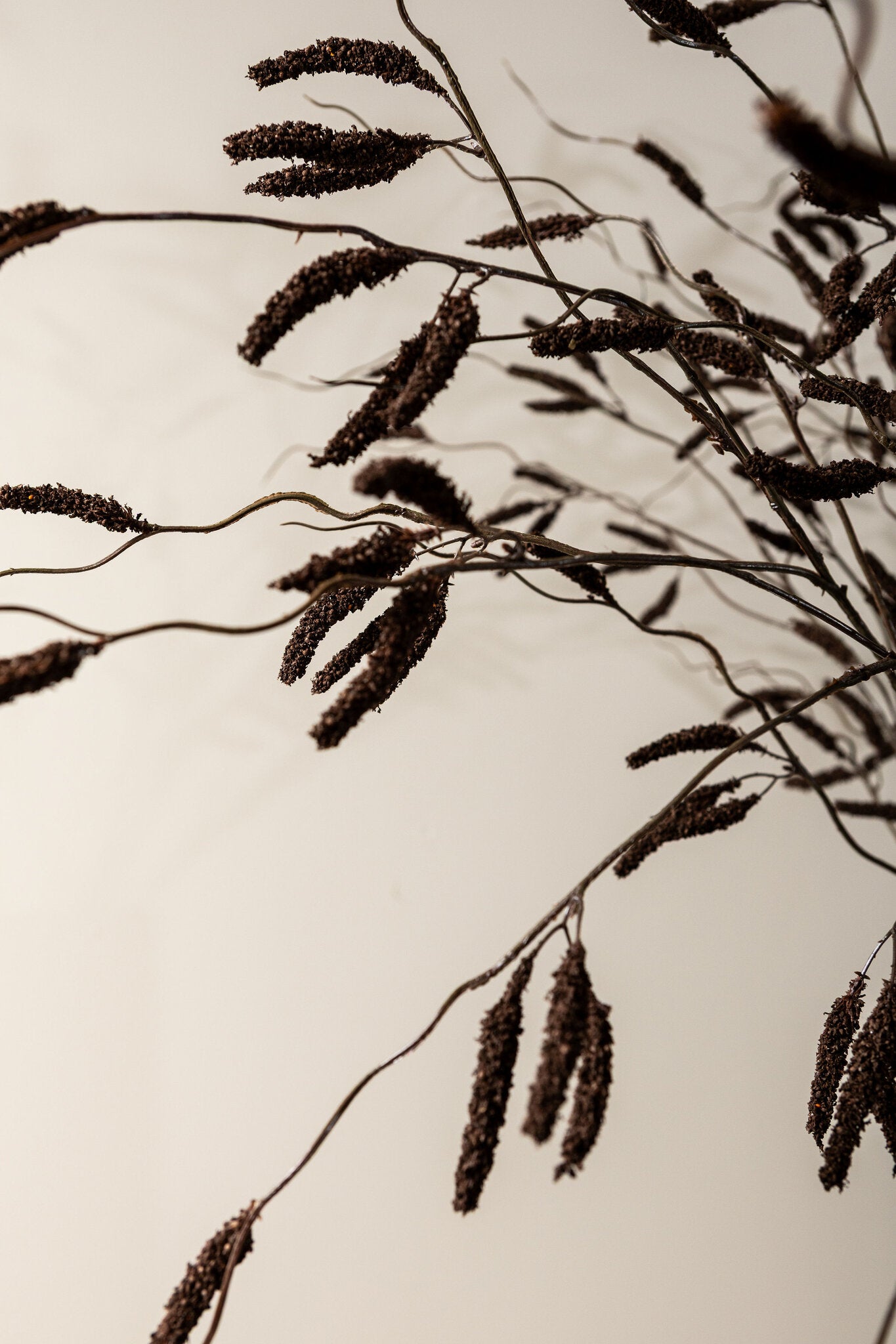 Twig Plant Donkerbruine Amaranthus Spray - Set van 6 121x62x40 cm
