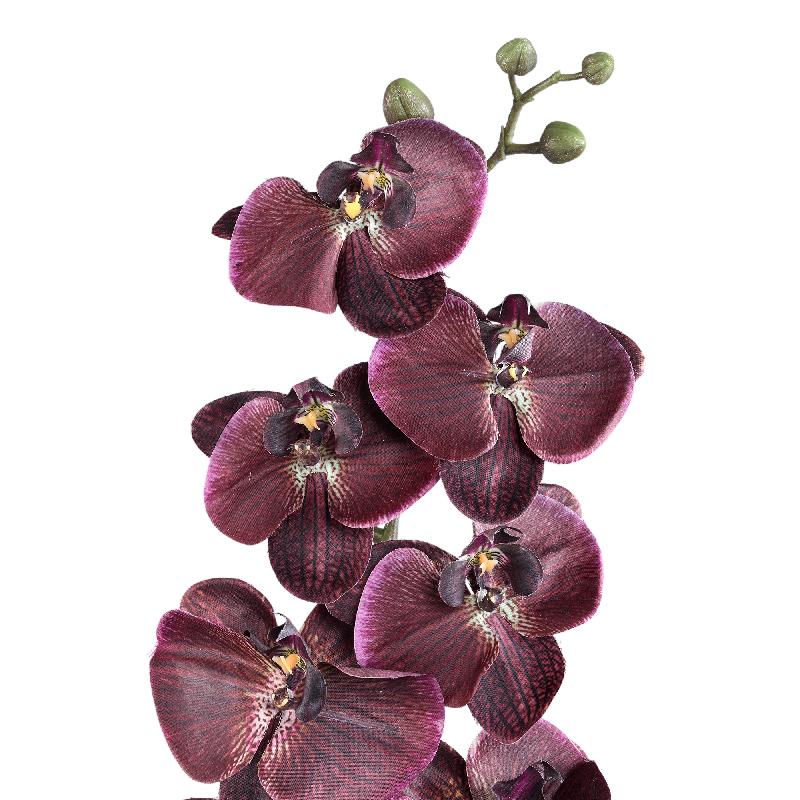 Orchid Flower Bronzen Phalaenopsis Spray - Set van 6 138x18x8 cm