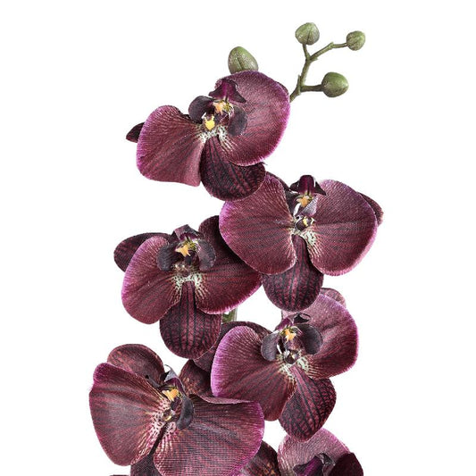 Orchid Flower Bronzen Phalaenopsis Spray - Set van 6 138x18x8 cm