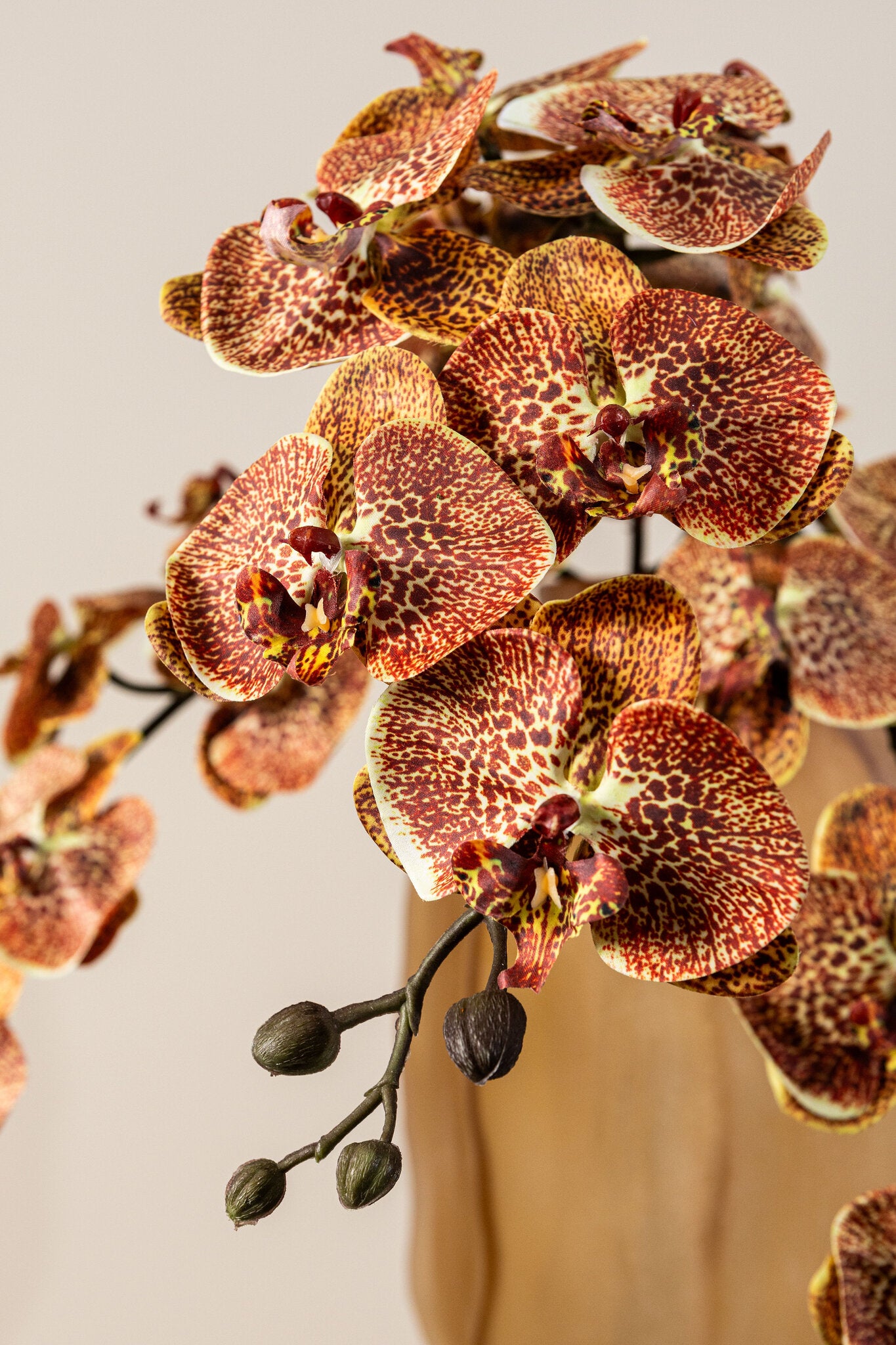 Orchid Flower Oranje Phalaenopsis Spray Set van 6 Stuks 138x18x8 cm