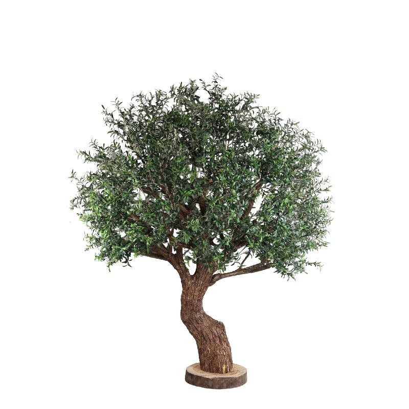 Tree Green Big Olijfboom Met Echt Houten Stam En Bast 260x220x220 cm