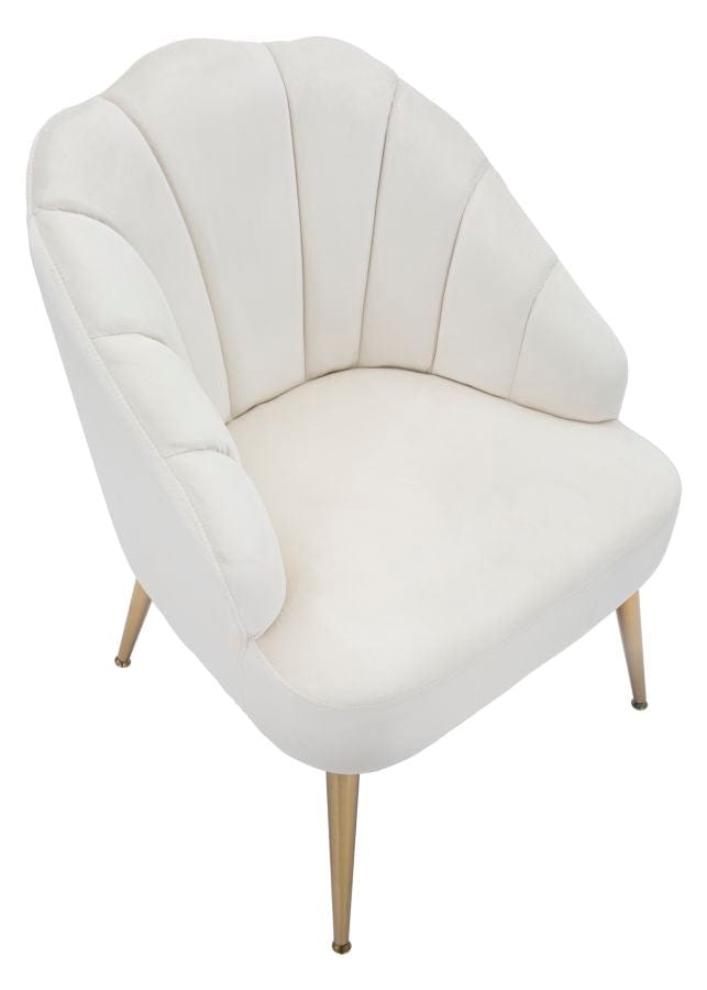 Mauro Ferretti ARMCHAIR SHELL CREMA CM 65X69X84