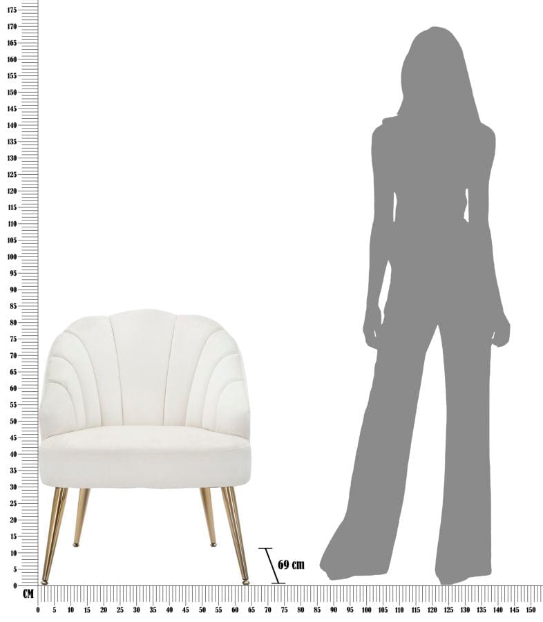 Mauro Ferretti ARMCHAIR SHELL CREMA CM 65X69X84