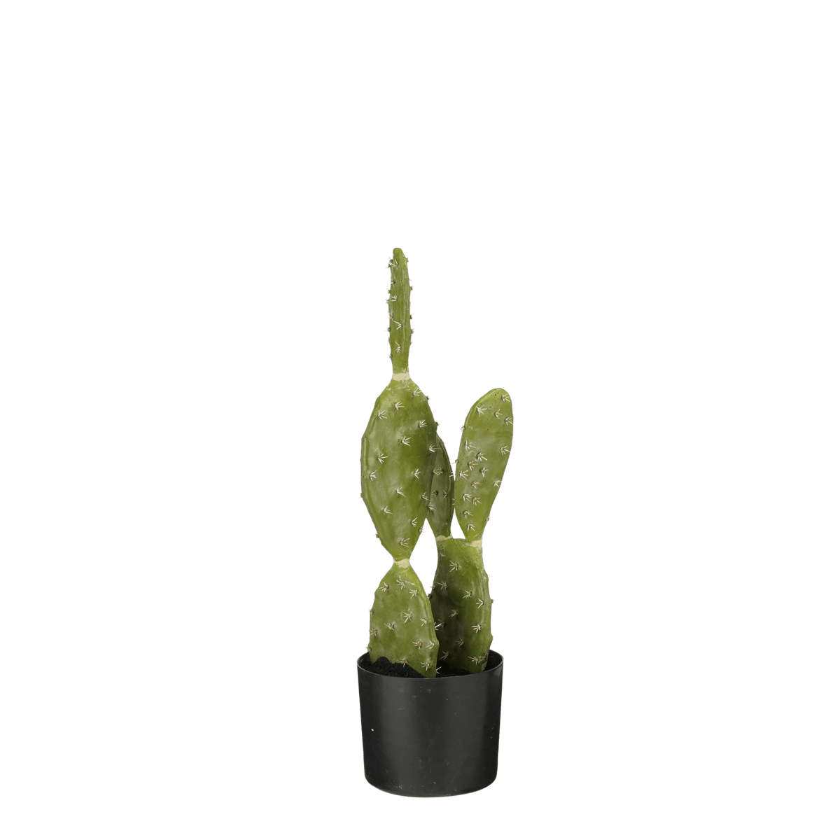 Mica Decorations Cactus Kunstplant in Bloempot - H50 x Ø25 cm - Groen