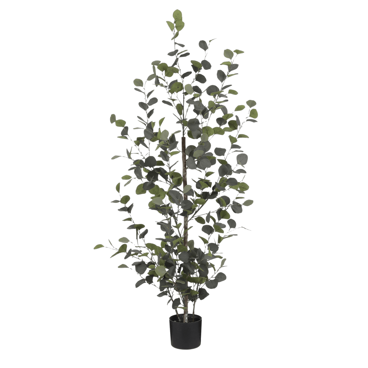 Mica Decorations Eucalyptus Kunstplant in Bloempot - H150 x Ø30 cm - Groen 