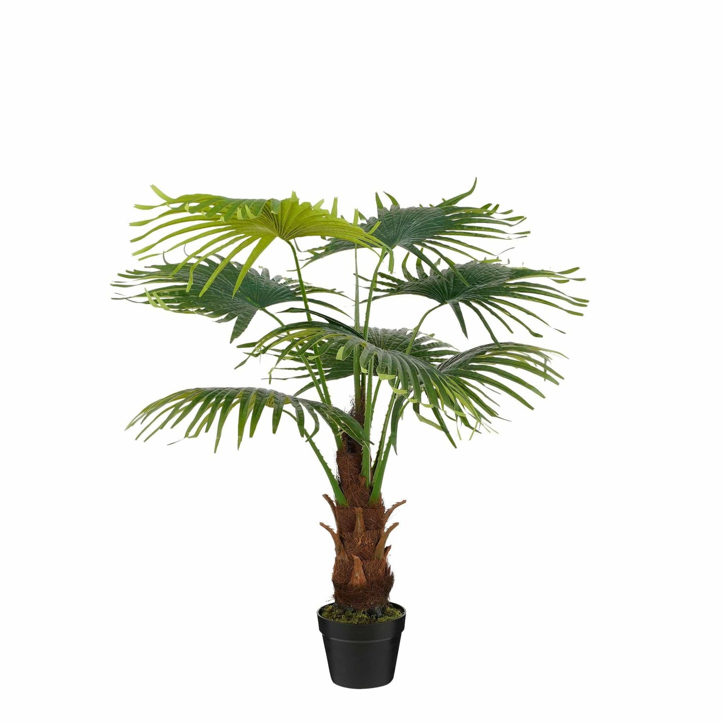 Mica Decorations Fan palm in pot green - h120xd80cm